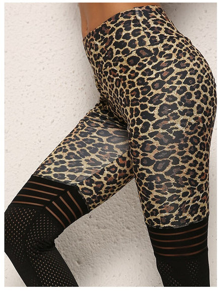 Leopard Print Mesh Ruched Butt Yoga Gym Leggings